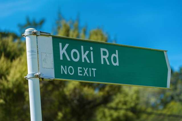2 Koki Road Greenhithe_1