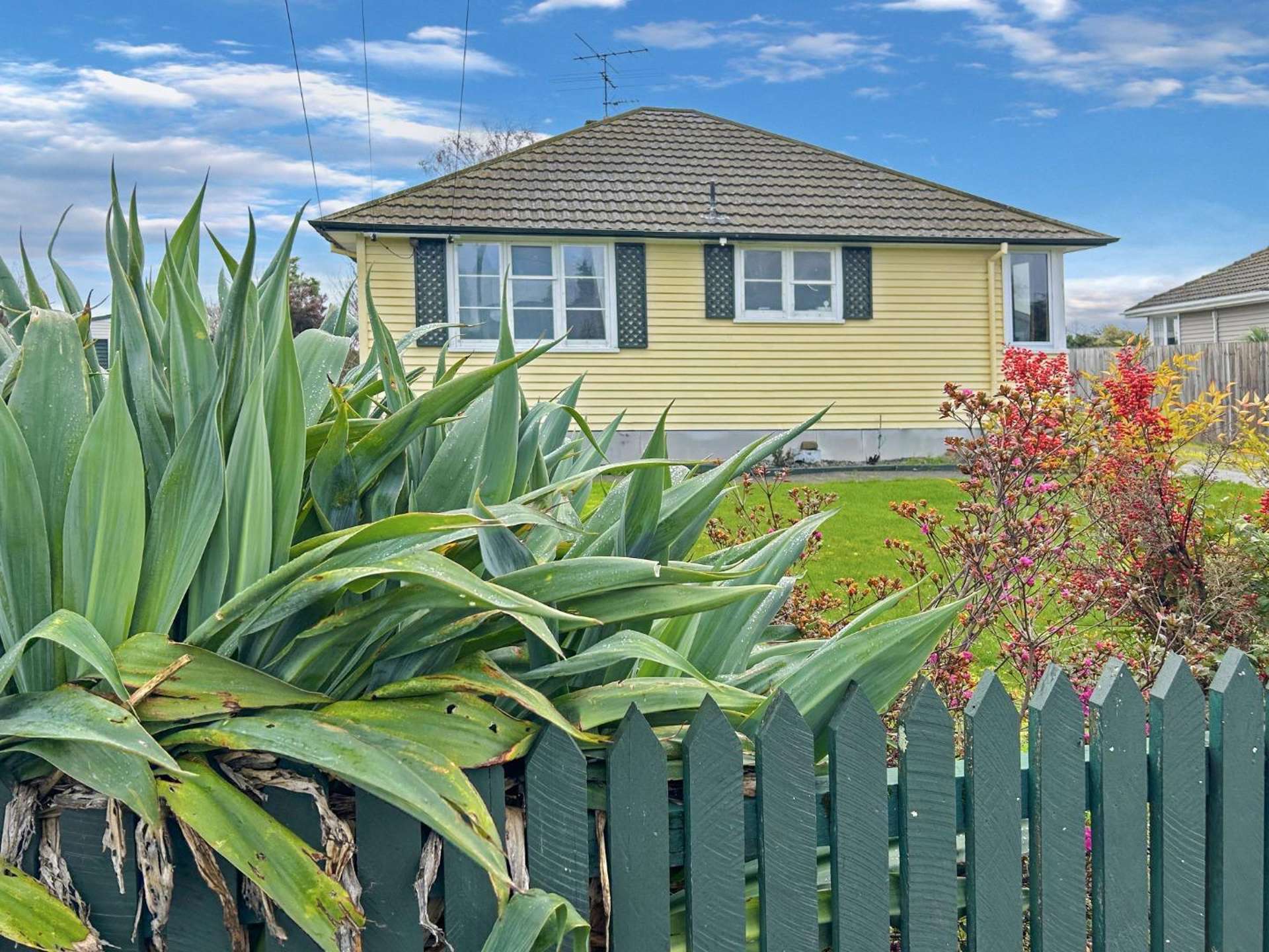 148 Cole Street Masterton_0