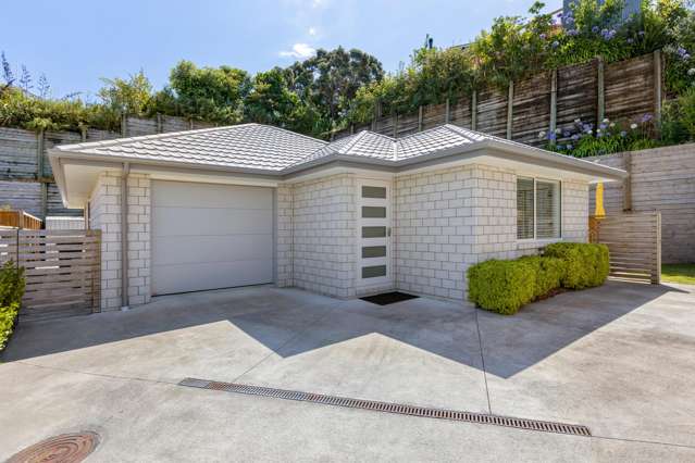 Modern Living in the Heart of Waitara