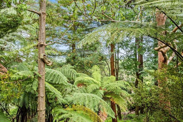 145 Wairoa Road Wairoa_15