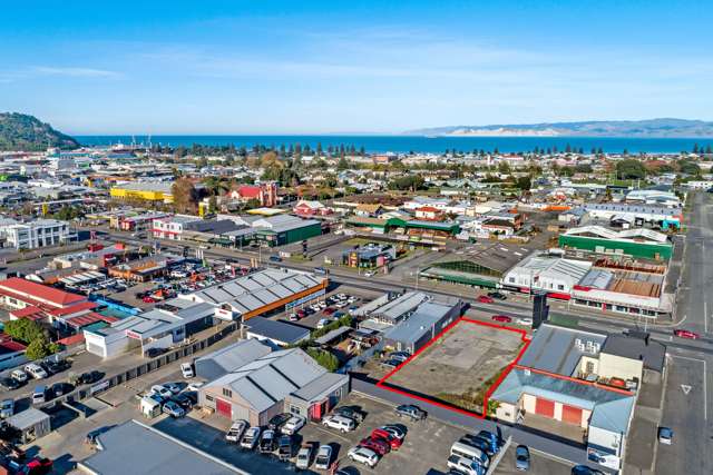 Fringe commercial canvas