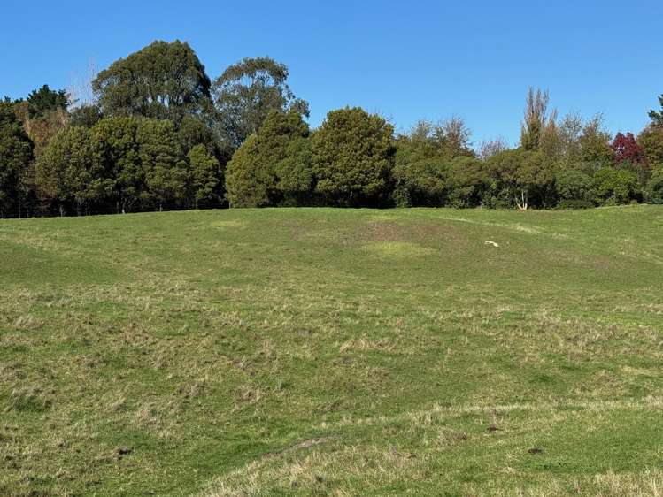 Tuki Tuki Road Haumoana_14