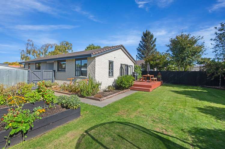 15 Jenkins Avenue Redwood_12