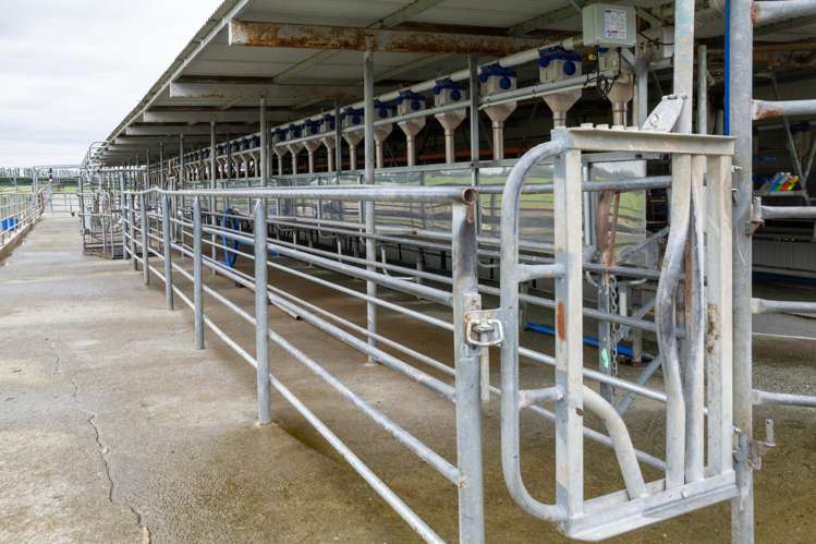 94 Brogdens Road Lowcliffe_21