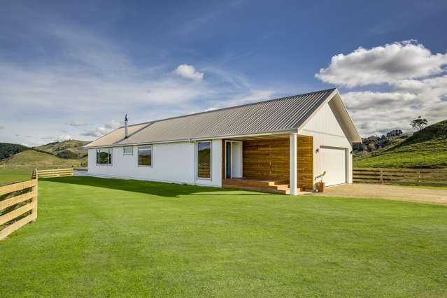 219 Seafield Road Eskdale_4