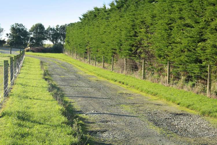 270 Roslyn Road Roslyn Bush_6