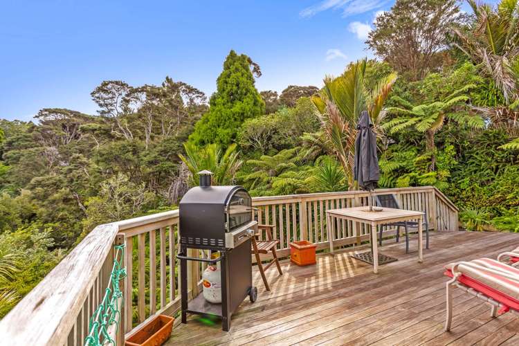 24 Punga Place Whitianga_19