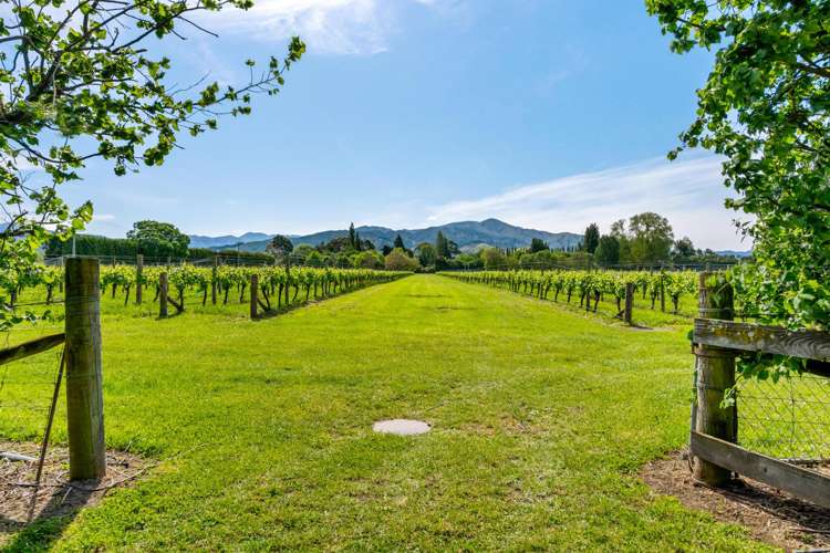 158 Murrays Road Rapaura_30