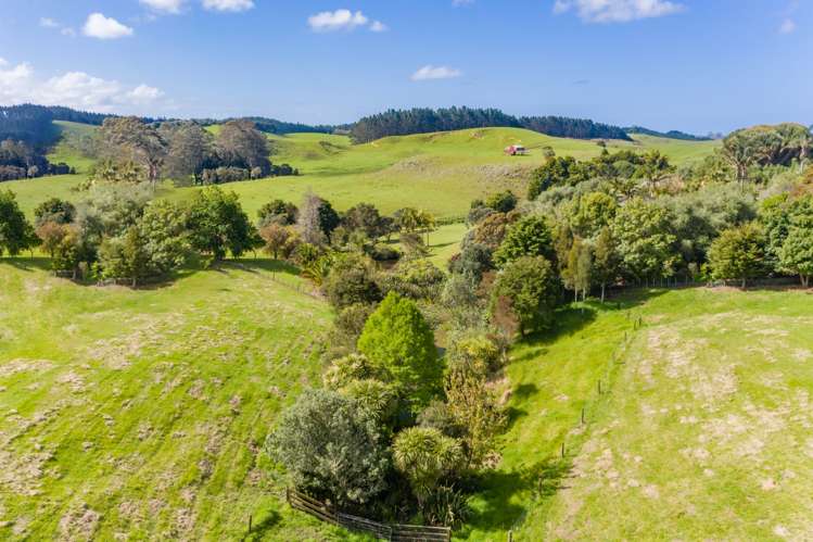 110 River Drive Kerikeri_2