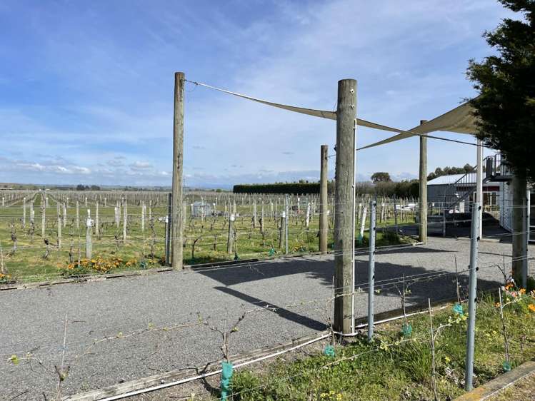 Vineyard Apt/217 Ngatarawa Road 10475_7