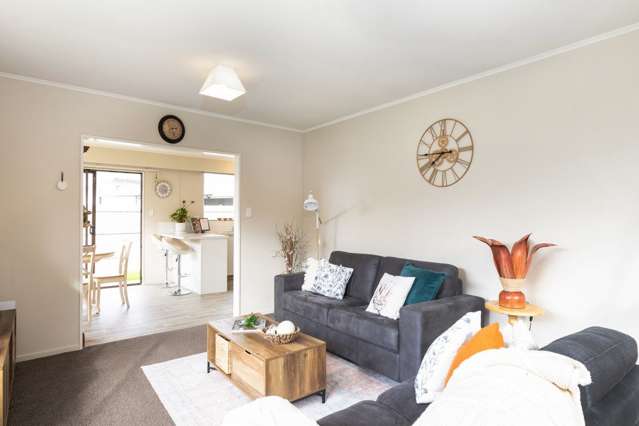 15D Muller Road Blenheim_2