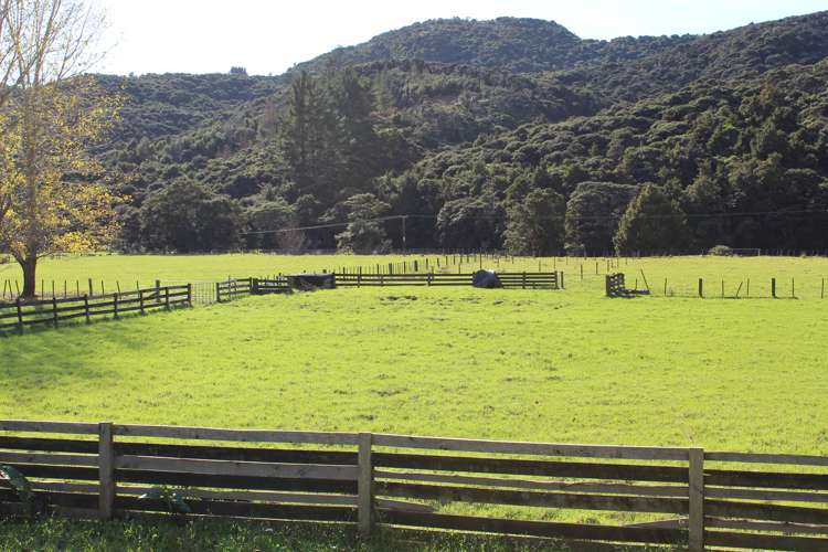 Lot 1 Sawyer Road Mangonui_3