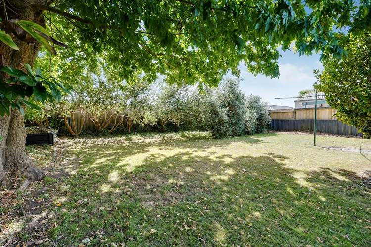 18 Puriri Street Nawton_15