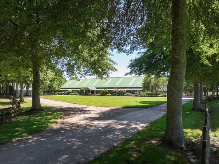 136 Wells Road Okoroire_5