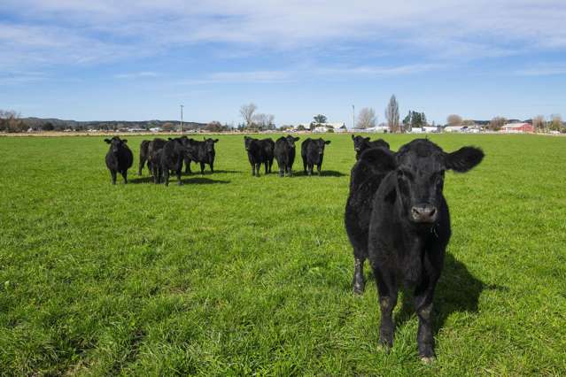 78 Airport Road Wairoa_2