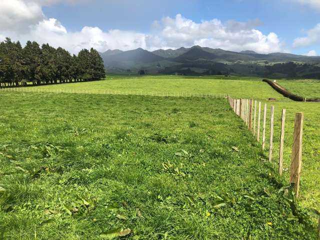 88 Strong Road Te Pahu_2