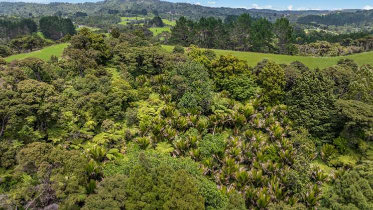 34 Awhiorangi Promenade Swanson_11