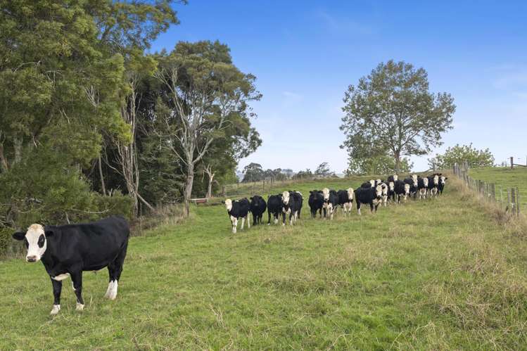 316 Bluff Road Pokeno_19