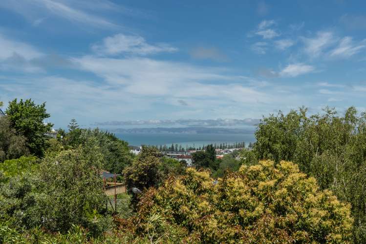 6 Harvey Road Bluff Hill_19