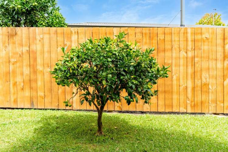 44 Ross Street Onerahi_16