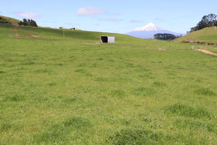 318 Kupara Road Tariki_20