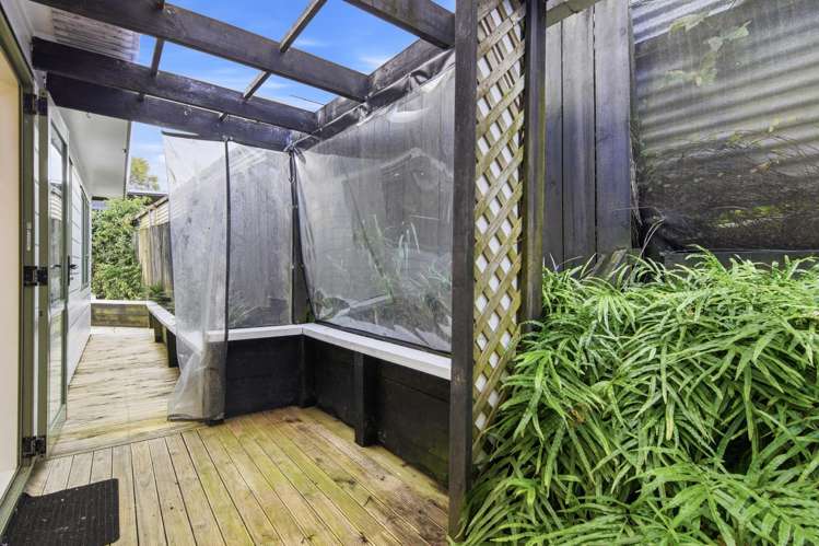 4b Knott Road Stanmore Bay_14