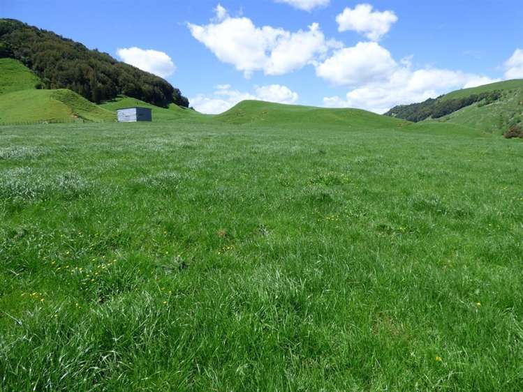 414 Kahuwera Road Te Kuiti_21