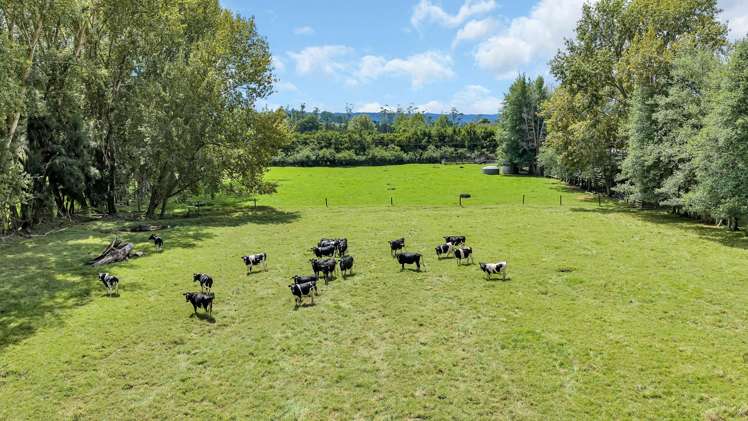 1344 State Highway 1 Hikurangi_37