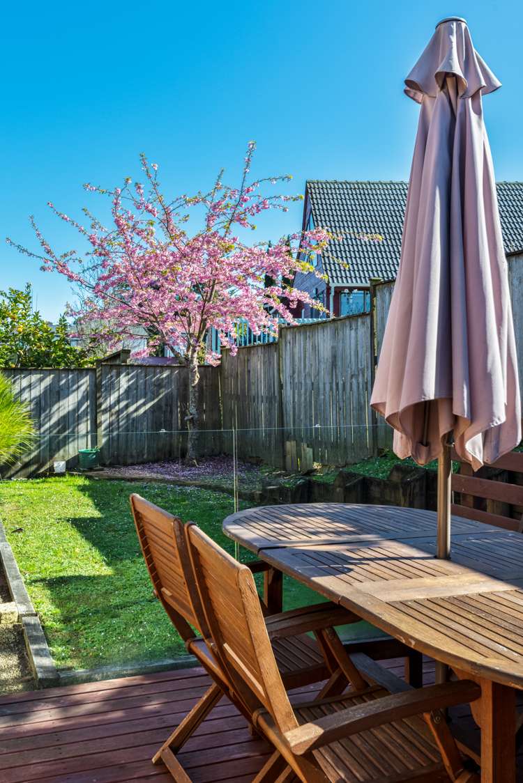 55 Helleur Road Massey_5