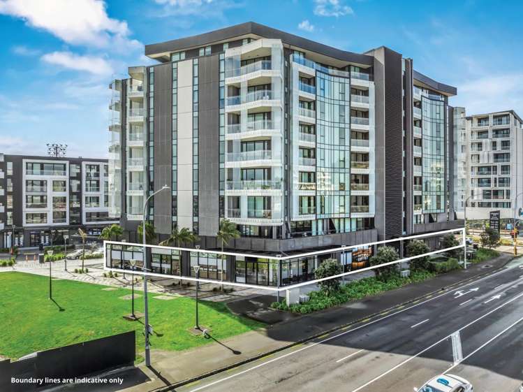 223 Greenlane West Epsom_7