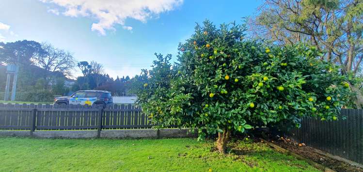 10 Bell Street Featherston_8