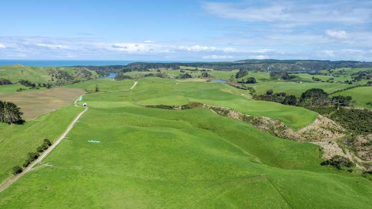 146 Fuller Road South Head_9