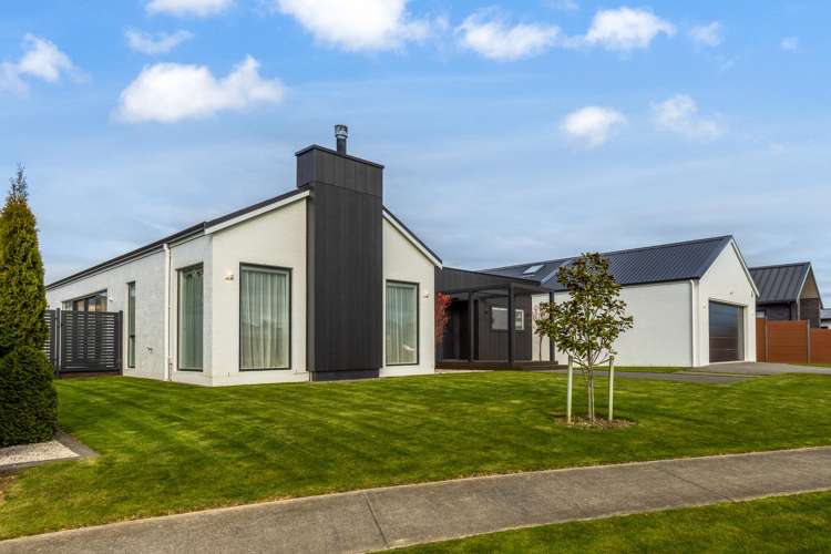 24 Phoenix palms Grove Levin_22