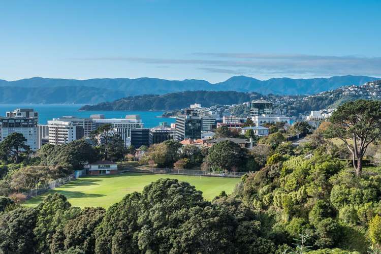 41 Patanga Crescent Thorndon_1