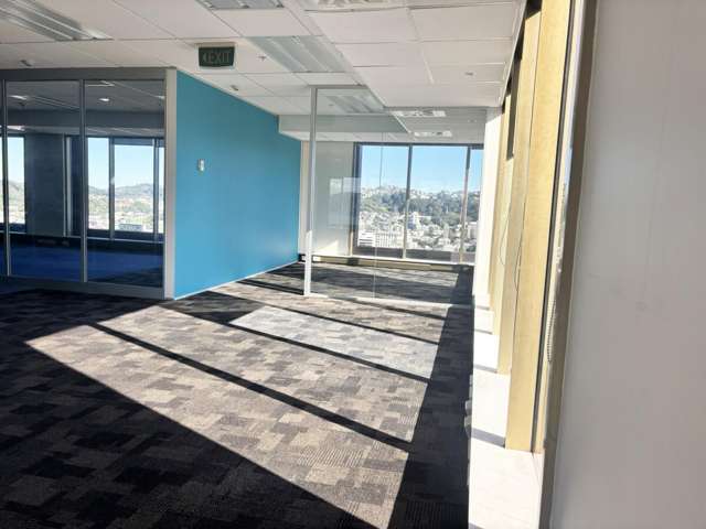 2 Gilmer Terrace Wellington Central_4