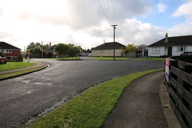 20 Ward Street Bulls_44