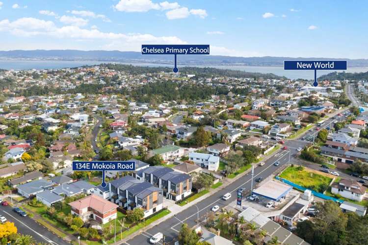 134E Mokoia Road Chatswood_14