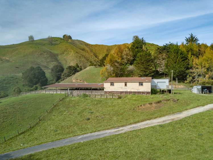 855 Okahukura Saddle Road Waimiha-Ongarue_8