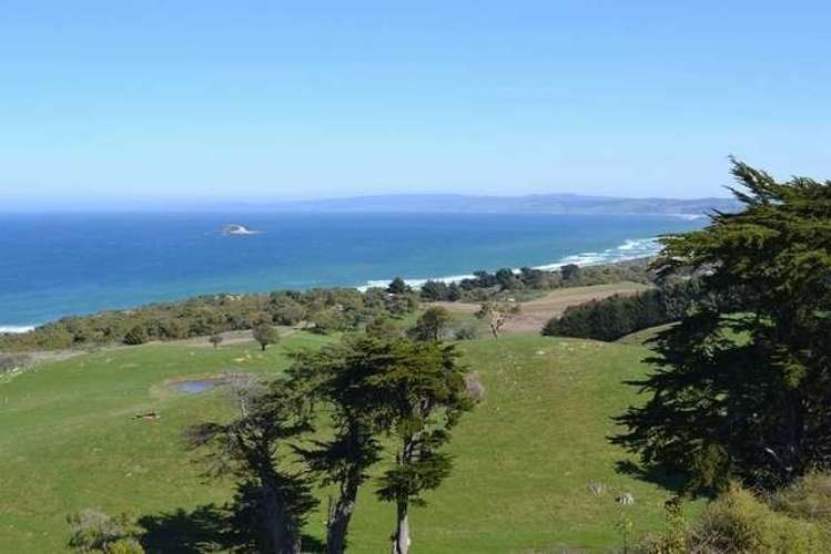 215 Green Island Bush Road Waldronville_11