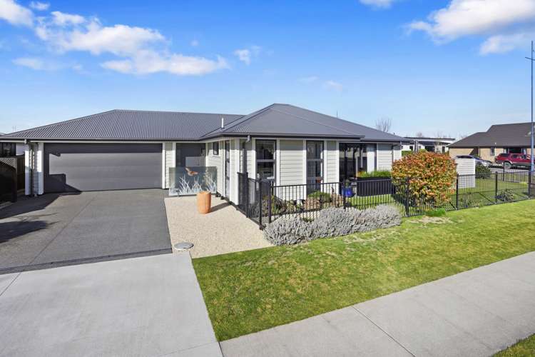 24 Hodgkinson Road Pegasus_15