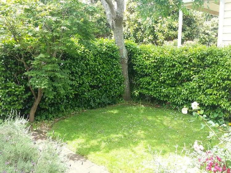 12 Cardwell Street Onehunga_9