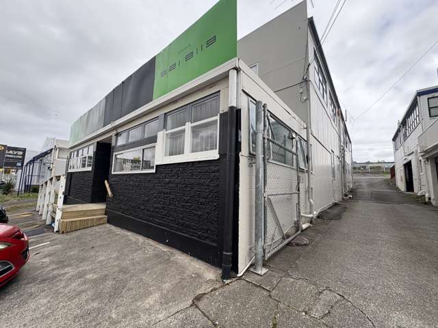 161-167 Apirana Avenue St Johns_1