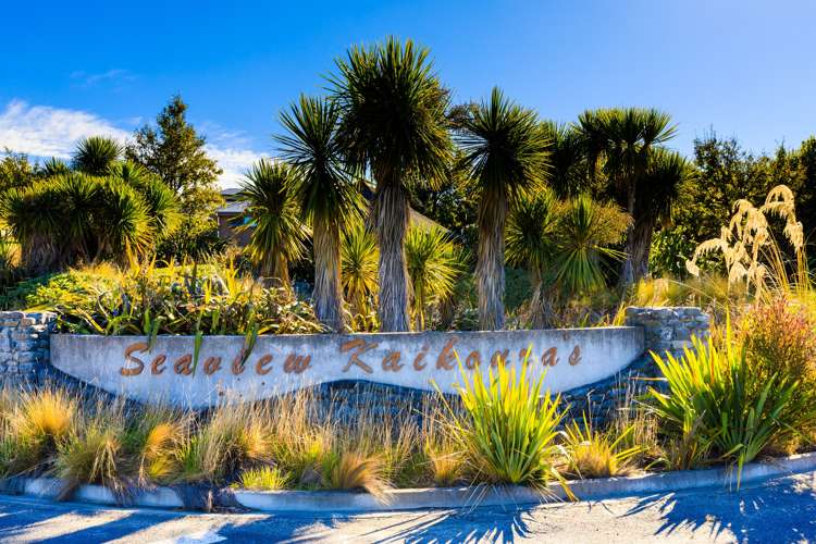 44 Miromiro Drive Kaikoura_3