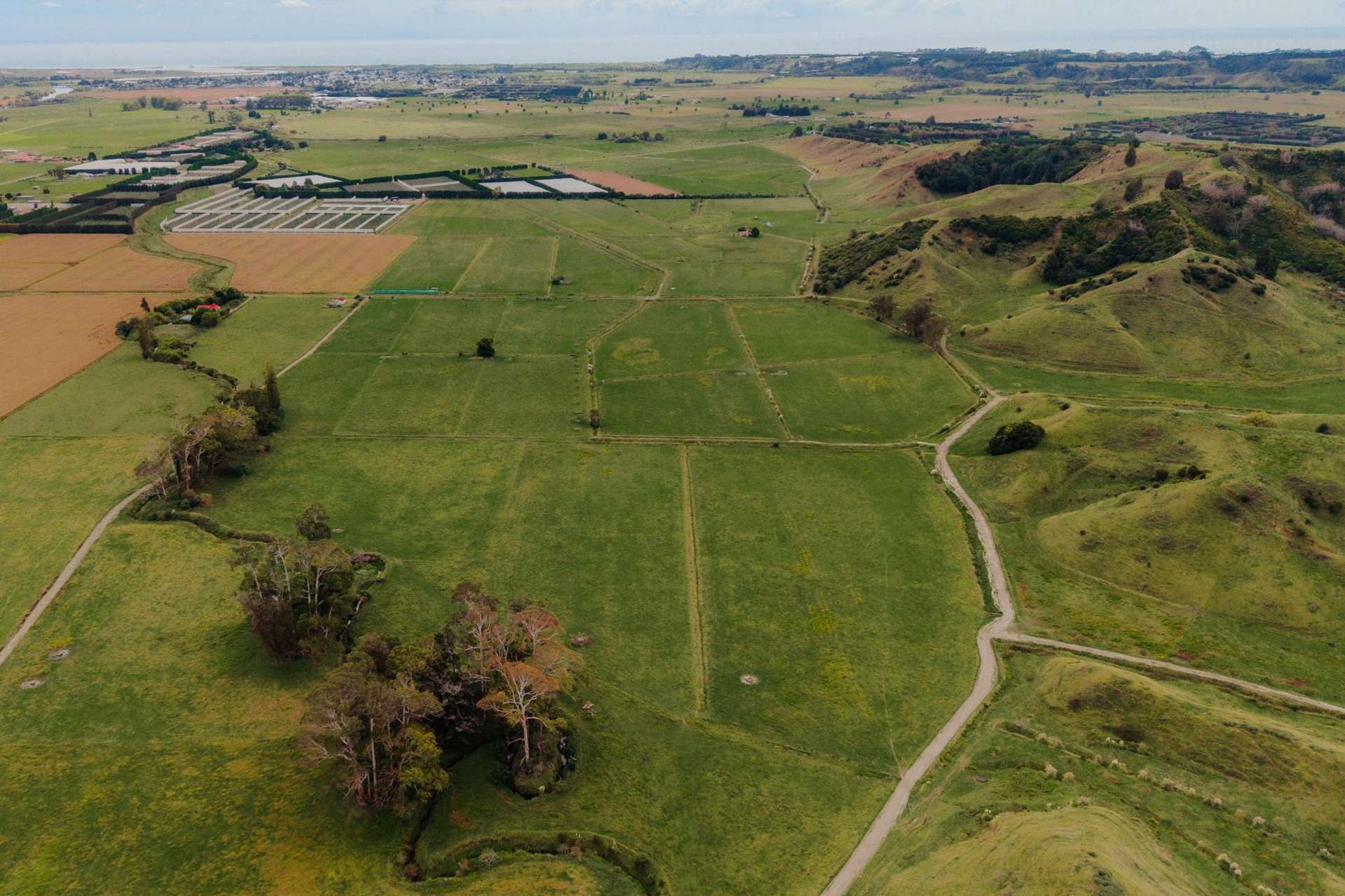 137 Matchitt Road Opotiki Surrounds_0