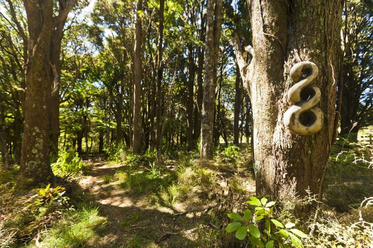 768 Owhiwa Road Parua Bay_20