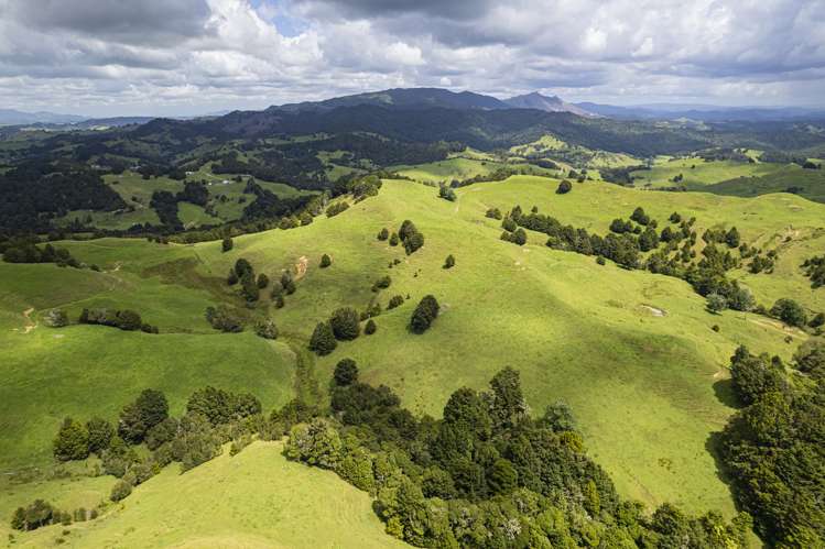 632 Marlow Road Maromaku_27