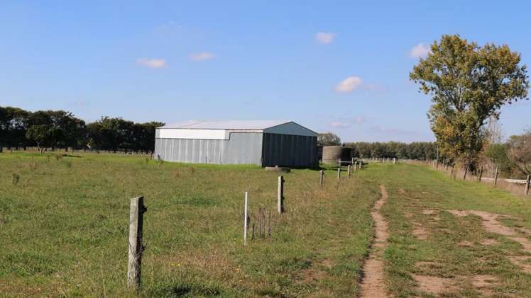 79 Otakiri Soldiers Road Otakiri_13