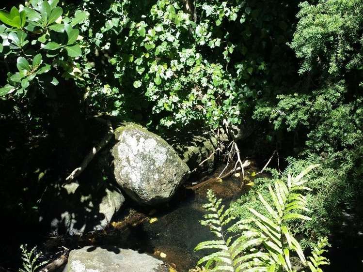 403 Te Ahu Ahu Road Waimate North_13