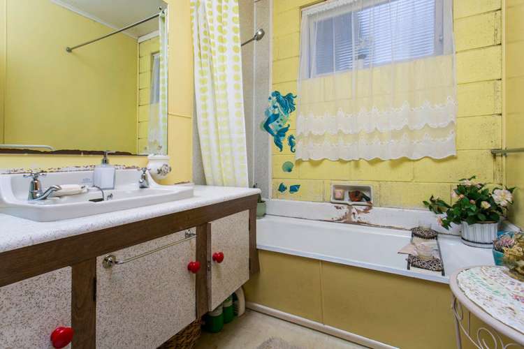 22a Alfred Street Roslyn_12