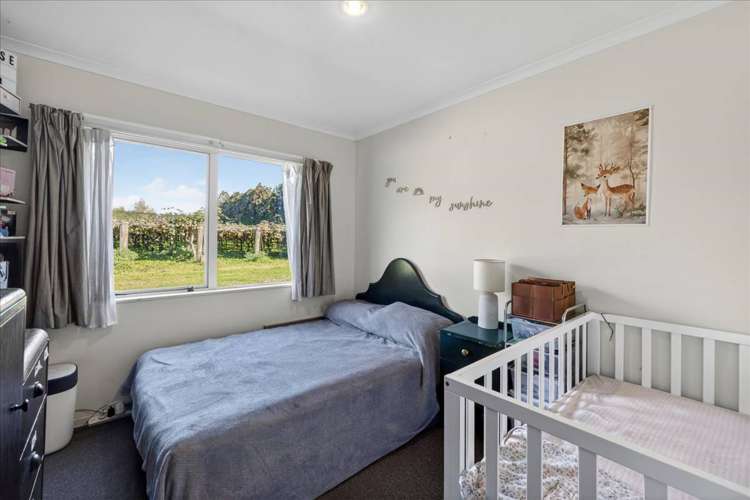 115 Tuapiro Road Tahawai_49